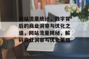 网站流量统计，数字背后的商业洞察与优化之道，网站流量揭秘，解码商业洞察与优化策略