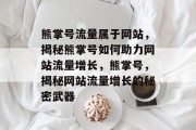 熊掌号流量属于网站，揭秘熊掌号如何助力网站流量增长，熊掌号，揭秘网站流量增长的秘密武器