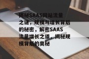 揭秘SAAS网站流量之谜，规模与增长背后的秘密，解密SAAS流量增长之道，揭秘规模背后的奥秘