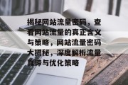 揭秘网站流量密码，查看网站流量的真正含义与策略，网站流量密码大揭秘，深度解析流量真谛与优化策略