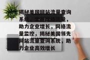 揭秘美国网站流量查询系统，掌握网络流量，助力企业增长，网络流量监控，揭秘美国领先网站流量查询系统，助力企业高效增长