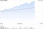 神州控股早盘涨近14% 大数据及境外业务表现亮眼 神州控股早盘涨近14% 大数据及境外业务表现亮眼