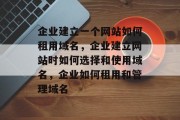 企业建立一个网站如何租用域名，企业建立网站时如何选择和使用域名，企业如何租用和管理域名