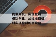 找准商机,实现盈利,成功创业,从找准商机到实现盈利的全攻略 找准商机,实现盈利,成功创业,从找准商机到实现盈利的全攻略