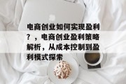 电商创业如何实现盈利?,电商创业盈利策略解析,从成本控制到盈利模式探索 电商创业如何实现盈利?,电商创业盈利策略解析,从成本控制到盈利模式探索