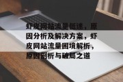 虾皮网站流量低迷，原因分析及解决方案，虾皮网站流量困境解析，原因剖析与破局之道