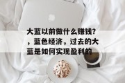 大蓝以前做什么赚钱？，蓝色经济，过去的大蓝是如何实现盈利的