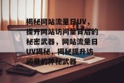 揭秘网站流量日UV，提升网站访问量背后的秘密武器，网站流量日UV揭秘，揭秘提升访问量的神秘武器