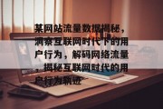 某网站流量数据揭秘，洞察互联网时代下的用户行为，解码网络流量，揭秘互联网时代的用户行为轨迹
