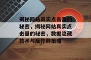 揭秘网站真实点击量的秘密，揭秘网站真实点击量的秘密，数据隐藏技术与反作弊策略