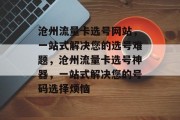 沧州流量卡选号网站，一站式解决您的选号难题，沧州流量卡选号神器，一站式解决您的号码选择烦恼