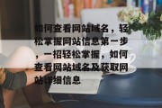 如何查看网站域名，轻松掌握网站信息第一步，一招轻松掌握，如何查看网站域名及获取网站详细信息