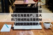 揭秘建什么网站流量多，五大热门领域助你轻松吸引海量用户，五大热门领域网站流量揭秘，轻松吸引海量用户攻略