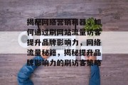 揭秘网络营销利器，如何通过刷网站流量访客提升品牌影响力，网络流量秘籍，揭秘提升品牌影响力的刷访客策略