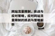 网站流量限制，挑战与应对策略，应对网站流量限制的挑战与策略解析