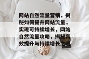 网站自然流量营销，揭秘如何提升网站流量，实现可持续增长，网站自然流量攻略，揭秘高效提升与持续增长之道