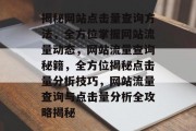 揭秘网站点击量查询方法，全方位掌握网站流量动态，网站流量查询秘籍，全方位揭秘点击量分析技巧，网站流量查询与点击量分析全攻略揭秘