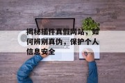 揭秘插件真假网站,如何辨别真伪,保护个人信息安全 揭秘插件真假网站,如何辨别真伪,保护个人信息安全