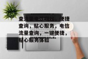 查流量电信网站，便捷查询，贴心服务，电信流量查询，一键便捷，贴心服务体验