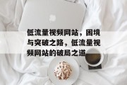 低流量视频网站，困境与突破之路，低流量视频网站的破局之道