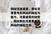 揭秘流量盛宴，类似流量君电影网站的崛起与魅力，流量盛宴的秘密，揭秘类似流量君电影网站的崛起之路