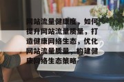 网站流量健康度，如何提升网站流量质量，打造健康网络生态，优化网站流量质量，构建健康网络生态策略