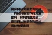国际网站流量查询网站，揭秘网络世界的流量密码，解码网络流量，国际网站流量查询网站揭秘流量密码