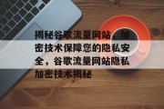 揭秘谷歌流量网站，加密技术保障您的隐私安全，谷歌流量网站隐私加密技术揭秘