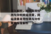 深入解析，如何高效检测与分析网站流量，网站流量高效检测与分析策略深度解析