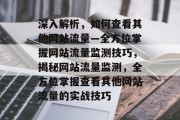 深入解析，如何查看其他网站流量—全方位掌握网站流量监测技巧，揭秘网站流量监测，全方位掌握查看其他网站流量的实战技巧