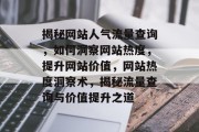 揭秘网站人气流量查询，如何洞察网站热度，提升网站价值，网站热度洞察术，揭秘流量查询与价值提升之道