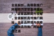 全面解析，有哪些推广网站助力企业品牌提升？，企业品牌提升攻略，全面解析高效推广网站，企业品牌提升攻略，揭秘高效推广网站助力之道