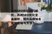 苏州SEO优化技巧解析，苏州SEO优化全面解析，提升品牌知名度的策略与方法