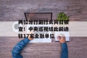 两位分行副行长同日被查!中央巡视组此前进驻17家金融单位 两位分行副行长同日被查!中央巡视组此前进驻17家金融单位