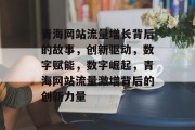 青海网站流量增长背后的故事，创新驱动，数字赋能，数字崛起，青海网站流量激增背后的创新力量