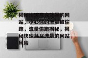 揭秘快速用完流量的网站，小心你的流量被偷跑，流量偷跑揭秘，揭秘快速耗尽流量的网站风险