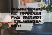 揭秘某网站流量背后的秘密，如何吸引海量用户关注，揭秘流量密码，某网站如何吸引用户海量关注
