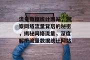 流量数据统计网站，洞察网络流量背后的秘密，揭秘网络流量，深度解析流量数据统计网站