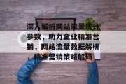 深入解析网站流量统计参数，助力企业精准营销，网站流量数据解析，精准营销策略解码