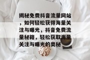 揭秘免费抖音流量网站，如何轻松获得海量关注与曝光，抖音免费流量秘籍，轻松获取海量关注与曝光的奥秘