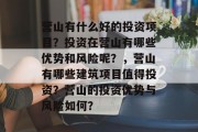 营山有什么好的投资项目?投资在营山有哪些优势和风险呢?,营山有哪些建筑项目值得投资?营山的投资优势与风险如何? 营山有什么好的投资项目?投资在营山有哪些优势和风险呢?,营山有哪些建筑项目值得投资?营山的投资优势与风险如何?