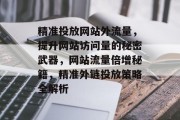 精准投放网站外流量，提升网站访问量的秘密武器，网站流量倍增秘籍，精准外链投放策略全解析