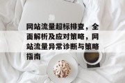 网站流量超标排查，全面解析及应对策略，网站流量异常诊断与策略指南