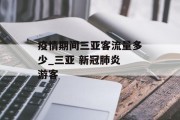 疫情期间三亚客流量多少_三亚 新冠肺炎 游客