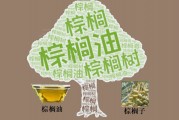 市场再掀波澜!棕榈油能否在原油涨势中找到支撑? 市场再掀波澜!棕榈油能否在原油涨势中找到支撑?