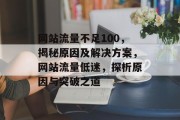 网站流量不足100，揭秘原因及解决方案，网站流量低迷，探析原因与突破之道