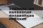 流量暴涨的网站，揭秘网络现象背后的秘密，揭秘流量暴涨网站背后的网络现象秘密