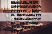 揭秘成品网站哪家强？深度评测带你选最适合自己的平台！，深度评测，揭秘成品网站平台，助你挑选最佳合作伙伴！，揭秘成品网站，深度评测助你找到最佳合作伙伴