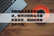 判断网站流量真假的秘诀,如何识别网站流量的真实性,揭秘辨别真伪的方法 判断网站流量真假的秘诀,如何识别网站流量的真实性,揭秘辨别真伪的方法