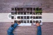 深入解析，如何准确评估和分析某个网站的流量，精准流量评估解析，揭秘网站流量分析之道